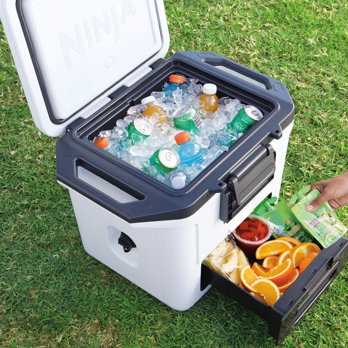 NINJA FROSTVAULT COOLER 28L FB131