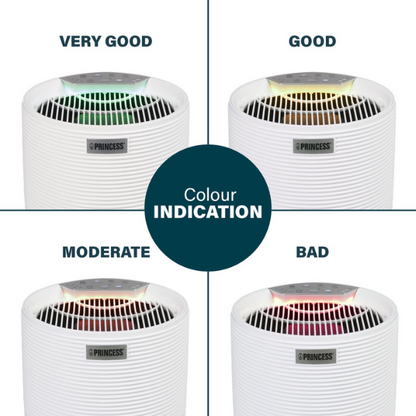 Princess 356160 Smart Air Purifier - App & Voice Controlled with HEPA H13 Filter