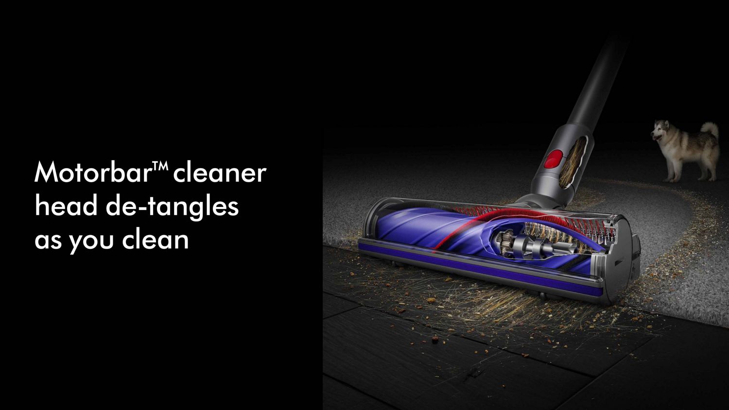 Dyson V8 Absolute